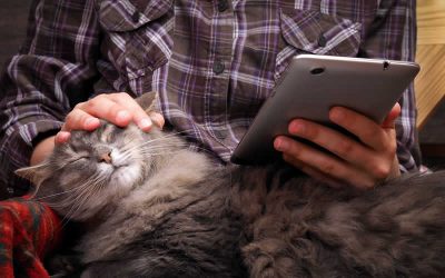 Text reminders for your pet’s treatment