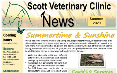 Our Latest Summer Newsletter