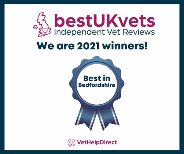 best uk vets 21