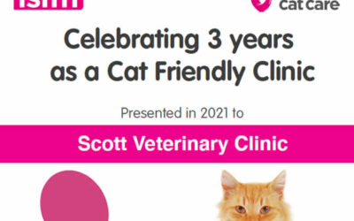 Scott Vets is yet again a Cat Friendly Clinic!
