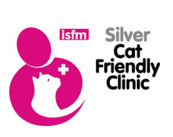 ISFM Silver logo ISFM silver logo
