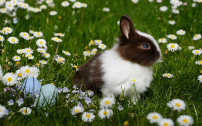 Easter Opening Times
