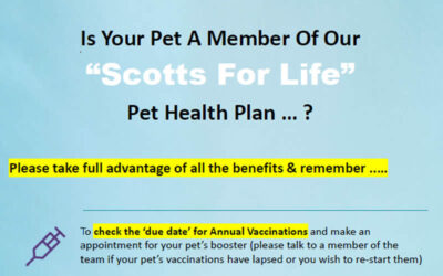 Scott’s for life benefits