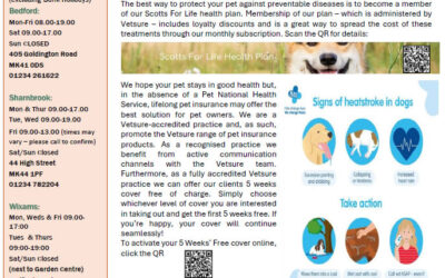 Summer Newsletter