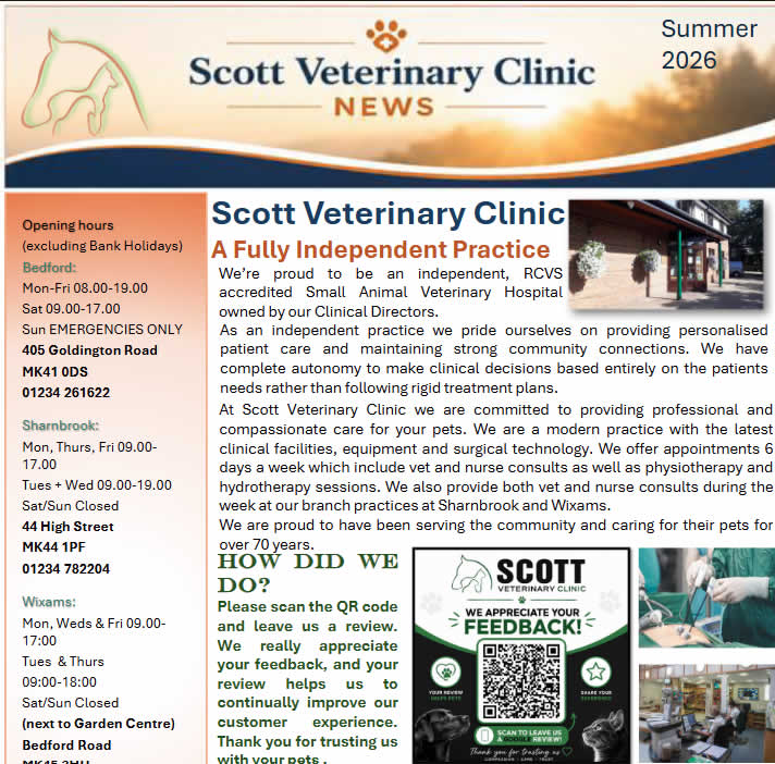 Summer newsletter 2026 Winter news