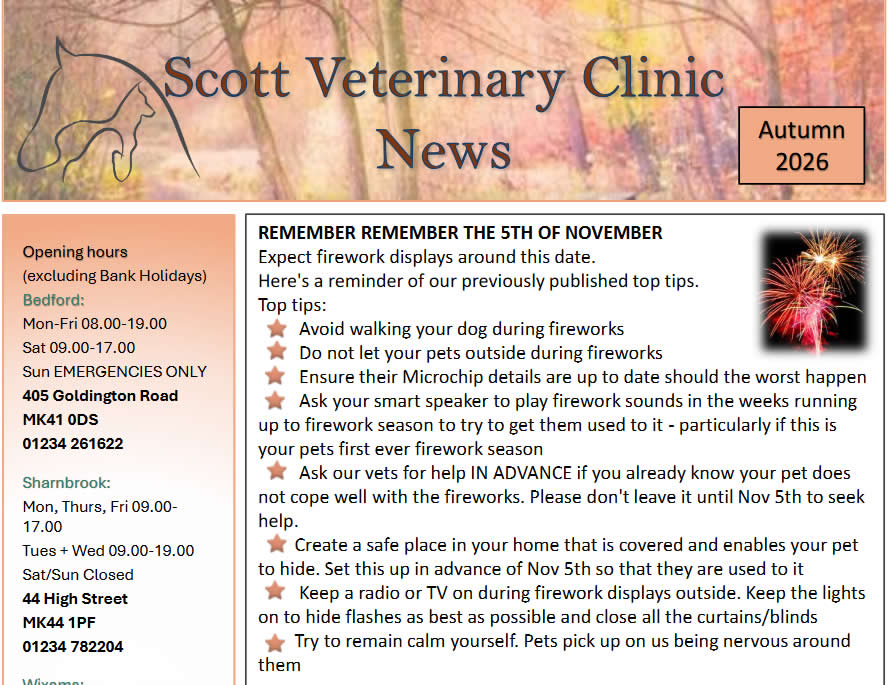 Our Latest Autumn Newsletter